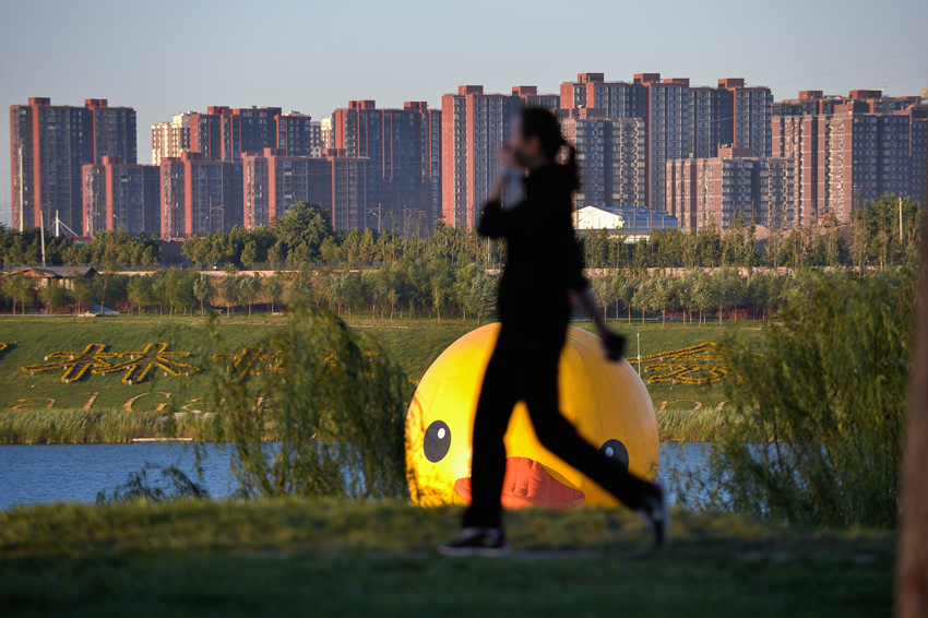 高清：大黃鴨“吻別”園博湖 開始“泄氣”