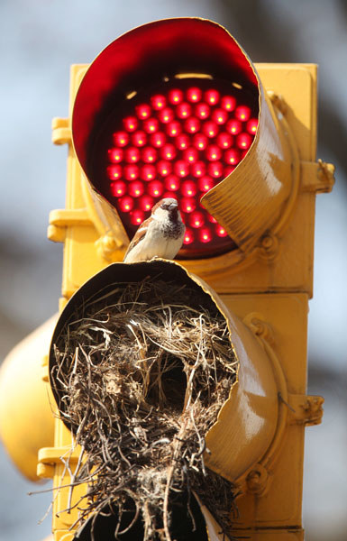 街頭賣萌路標(biāo)驚喜溫馨 盤點令人亮瞎雙眼的標(biāo)志（組圖）