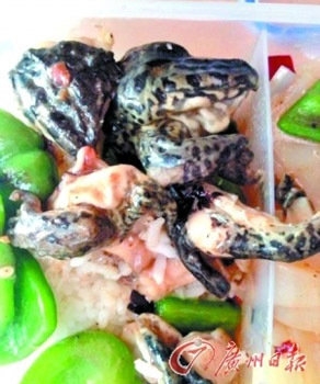 食堂又現奇葩菜！華工食堂帶皮田雞很嚇人(圖)