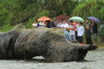 江西修水林業(yè)局付給天價千年烏木發(fā)現者7萬余元