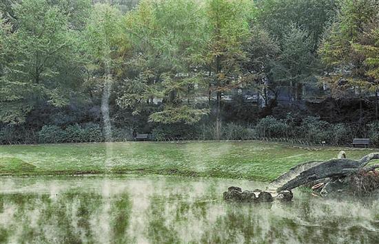 西湖水面騰起一根霧柱 網友：拍出仙氣來了