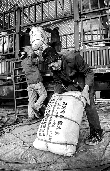 專家：吉林近期地震頻繁與前年日本9級(jí)地震有關(guān)