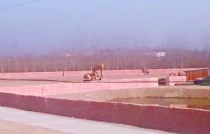 小區(qū)旁建墓地引居民不滿 村委會(huì)竟許諾：墓地建好后 每家送一個(gè)