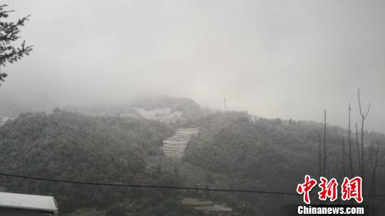 昆明迎來今年首場(chǎng)大范圍降雪 引起網(wǎng)友狂歡(圖)