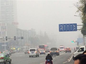網傳
