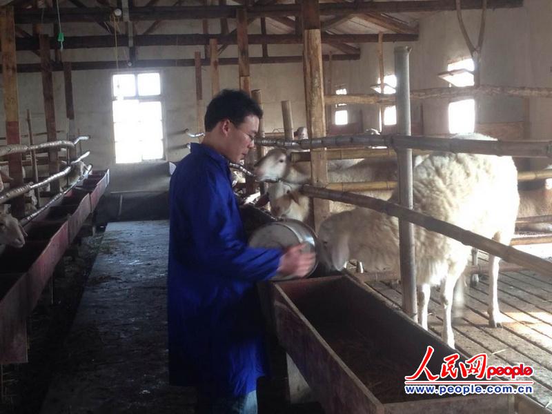 人民網(wǎng)記者新春走基層 大學生“羊倌”的創(chuàng)業(yè)夢想