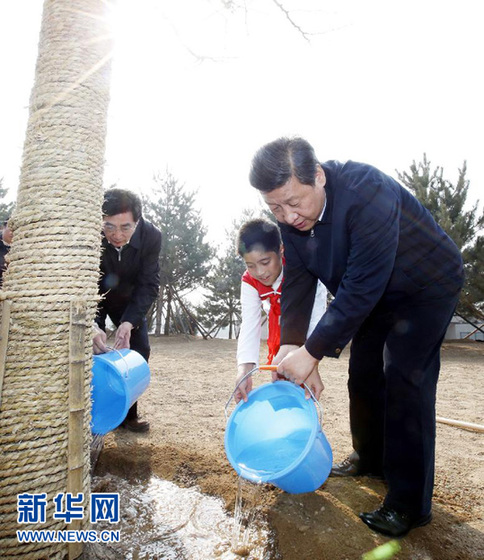 習近平:把義務植樹深入持久開展下去 為建設美麗中國創造更好生態條件