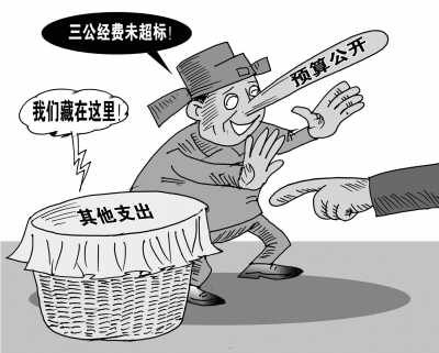 政府預(yù)算體系框架基本建立