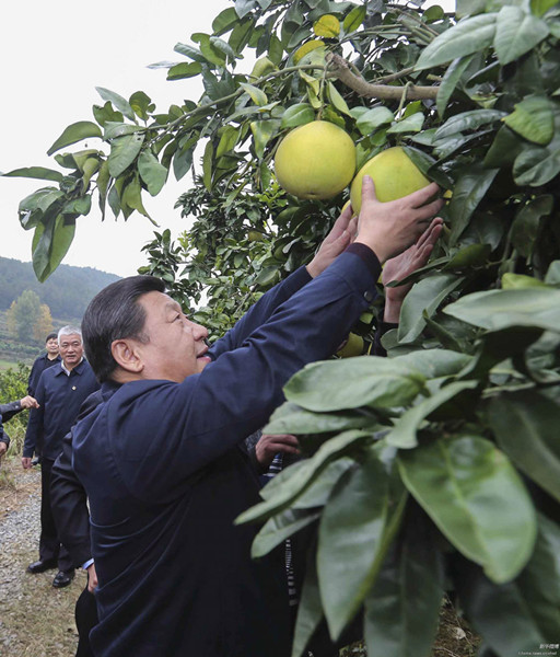 習近平在湖南考察時強調:深化改革開放推進創新驅動 實現全年經濟社會發展目標