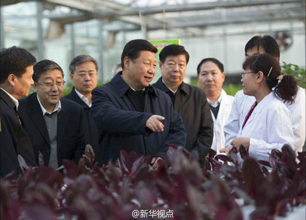 習近平：手中有糧，心中不慌