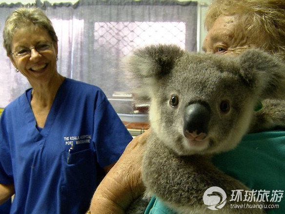 欣賞世界上最可愛的動(dòng)物