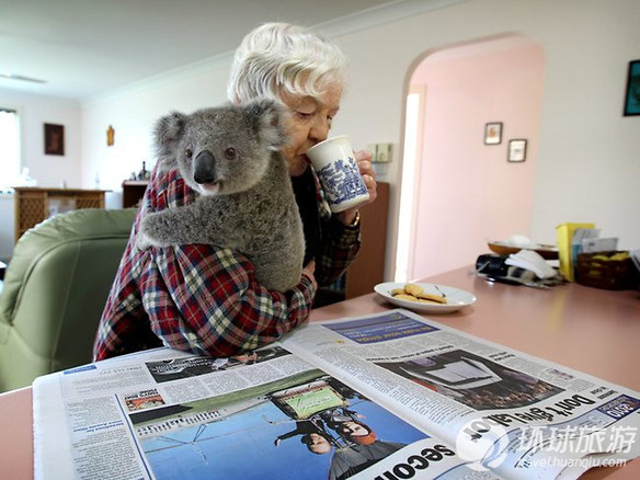 欣賞世界上最可愛的動物