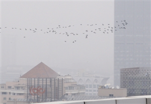 深圳霧霾持續 呼吸道疾病患者增多