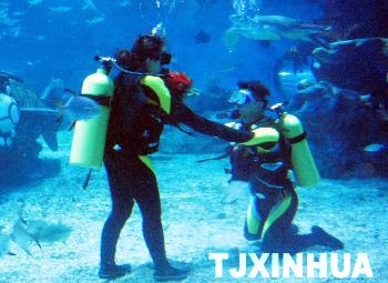 天津?yàn)I海新區(qū)集體婚禮