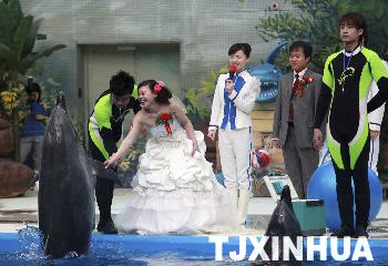 天津?yàn)I海新區(qū)集體婚禮