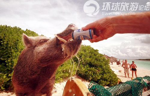 世界上最奇特的私人小島