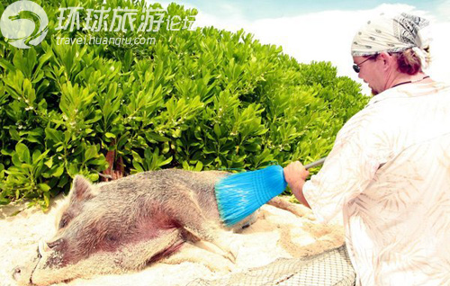 世界上最奇特的私人小島