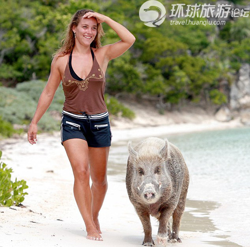 世界上最奇特的私人小島