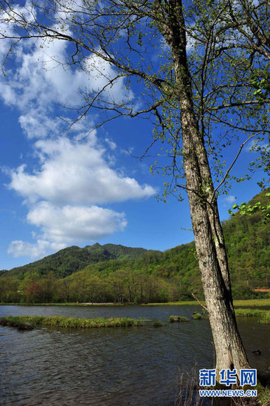 神農架高山濕地大九湖掠影