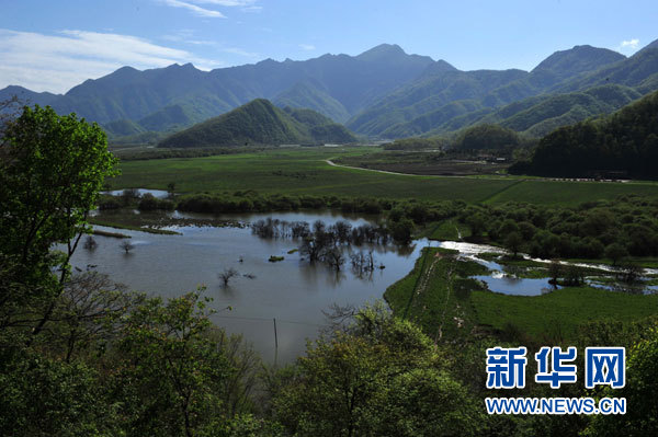 神農(nóng)架高山濕地大九湖掠影