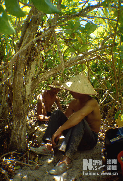 珍貴！1991年西沙科考海量歷史照