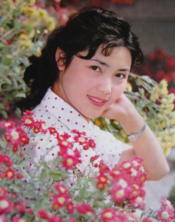 春晚記憶！春晚當家花旦驚艷寫真