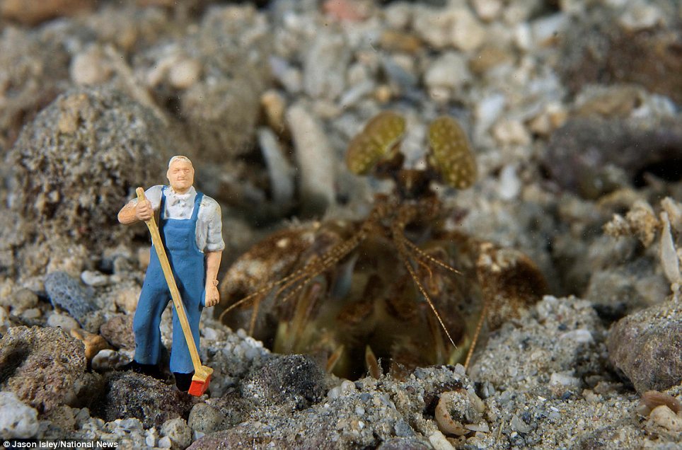 趣味攝影:水底小人國世界(組圖)