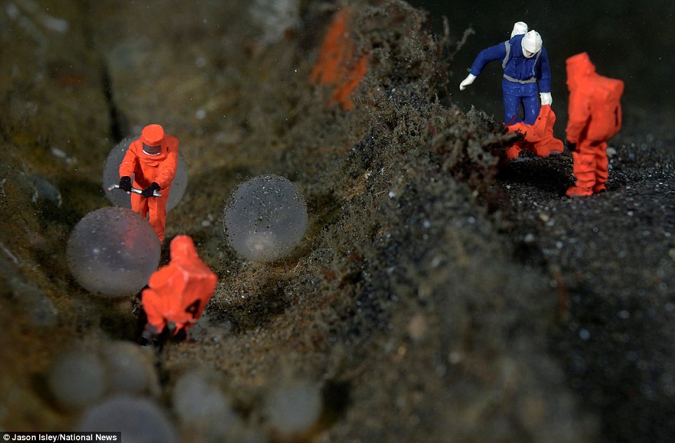趣味攝影:水底小人國世界(組圖)