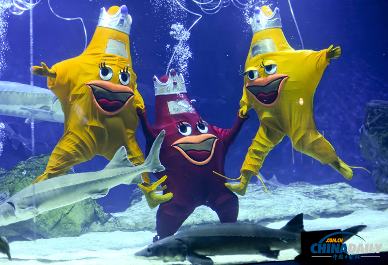 國內首次水下人偶style亮相北京海洋館
