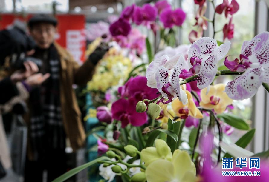 “花開意盎然，雀鳥上枝頭”：聽！春天的腳步聲