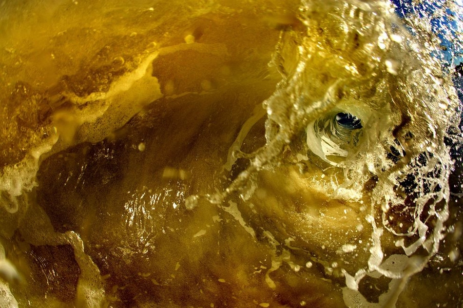 熱情的海：夏威夷壯美海岸