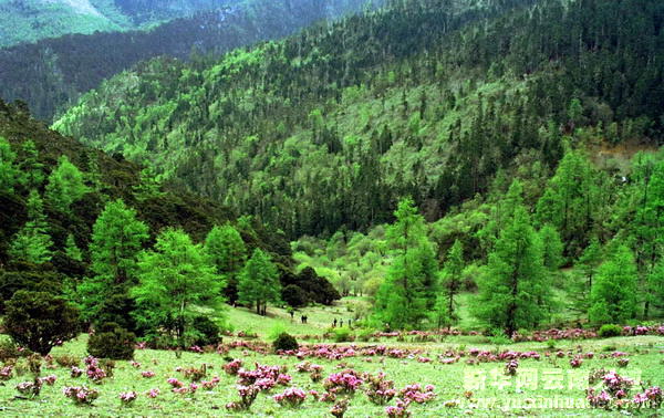西部大開發10年間的云南香格里拉[多圖]