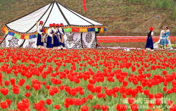 西部大開發10年間的云南香格里拉[多圖]