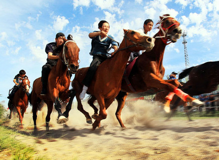 伊犁舉辦第二屆馬王爭奪賽