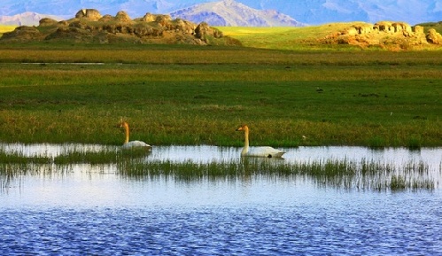 巴音布魯克大草原上的靈魂之所：天鵝湖