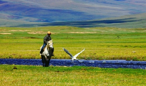 巴音布魯克大草原上的靈魂之所：天鵝湖