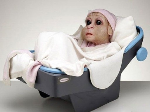 驚世駭俗的“豬人”！