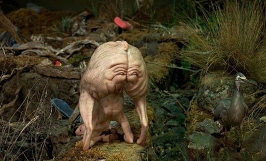 驚世駭俗的“豬人”！