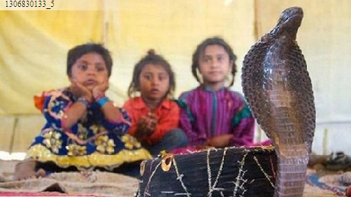 探訪南亞神秘的蛇人部落