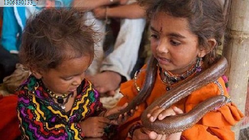 探訪南亞神秘的蛇人部落