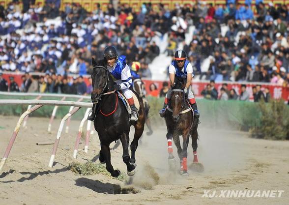 巴州第八屆“東歸那達慕節”開幕