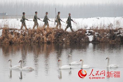 新疆森林武警忠誠守護廣袤林海造福駐地各族群眾