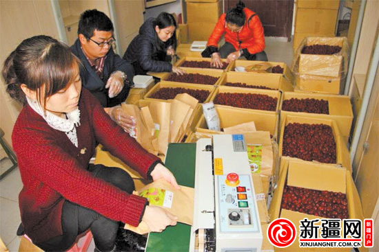 新疆籍女碩士重慶校園賣家鄉紅棗