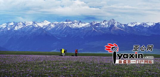 六月新疆喀拉峻實現索道游