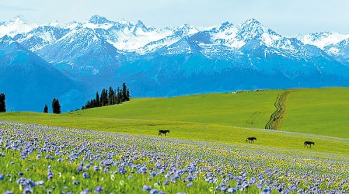 新疆“旅交會(huì)”參會(huì)者預(yù)計(jì)逾萬(wàn)人次