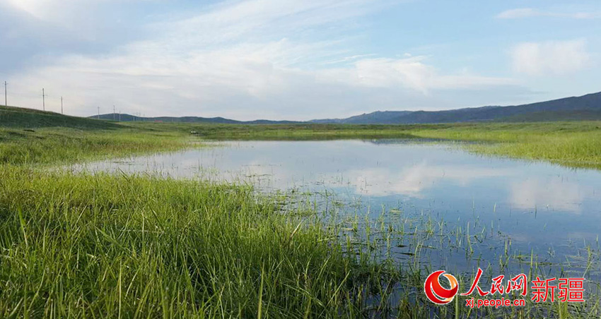 新疆沖乎爾：繽紛美景惹人醉