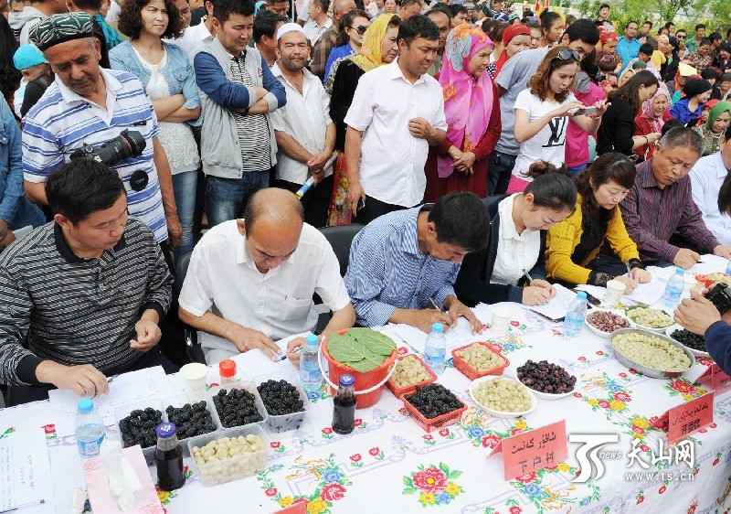 新疆庫爾勒市首屆“美麗蘭干·甜蜜桑葚”節開幕