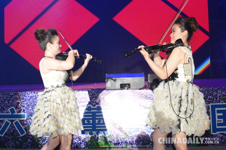 霍城縣舉辦“科古爾琴薰衣草園演唱會”