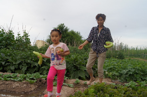 新疆兵團(tuán)第六師共青團(tuán)農(nóng)場旅游業(yè)大放光彩