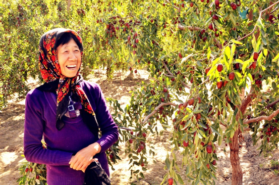 棗香飄樓蘭，若羌喜豐收 ——新疆•若羌第六屆樓蘭文化旅游節暨第九屆紅棗節開幕